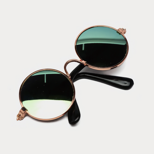 Солнцезащитные очки для кошек и собак