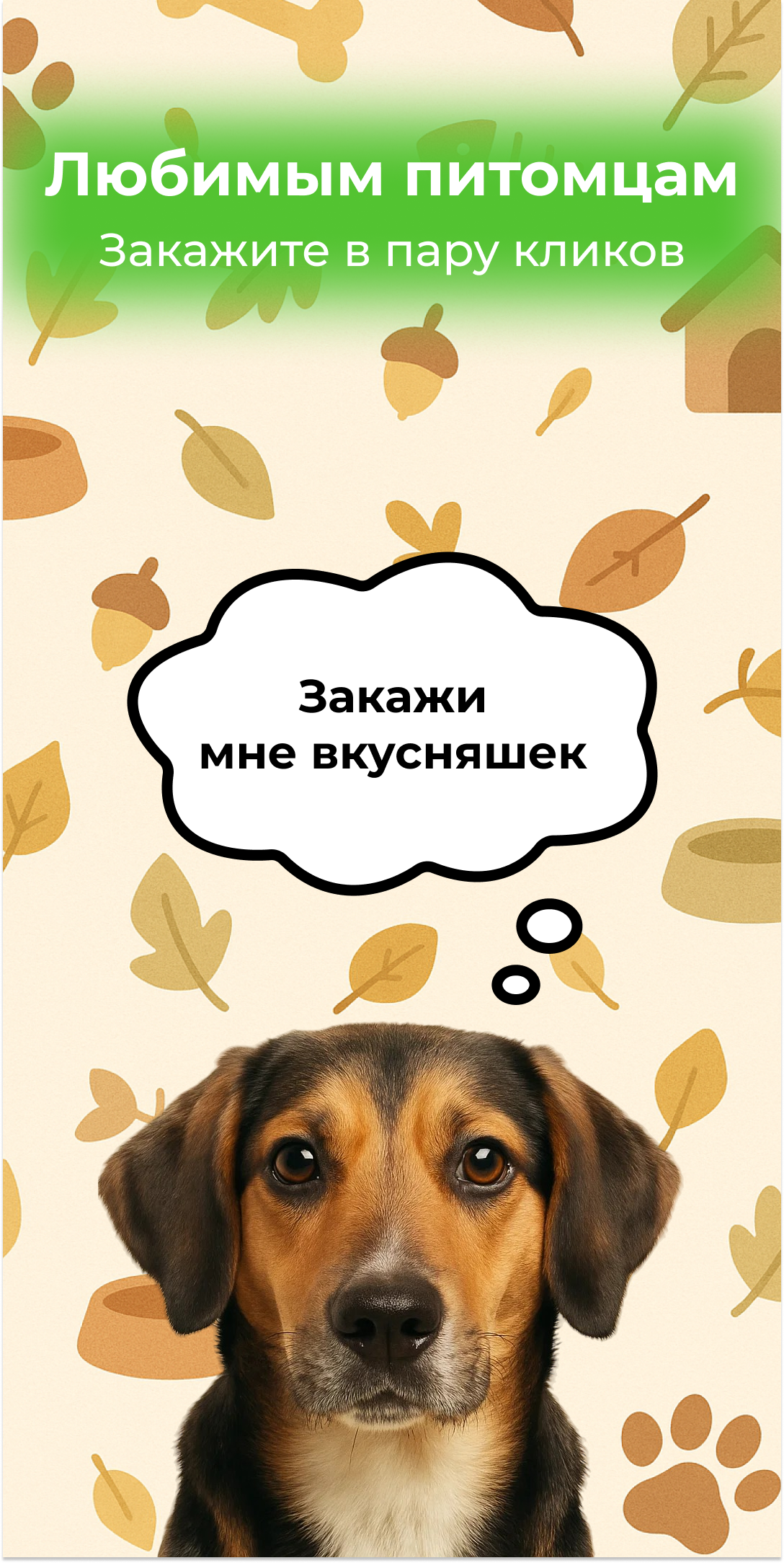 Royal Canin